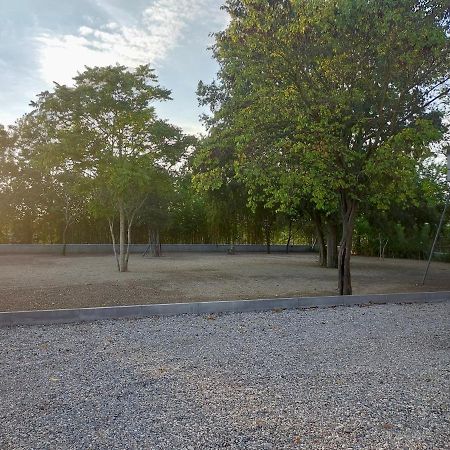 Il Giglio B&B Asola エクステリア 写真